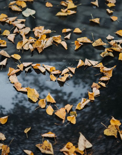 Love heart autumn leaves
